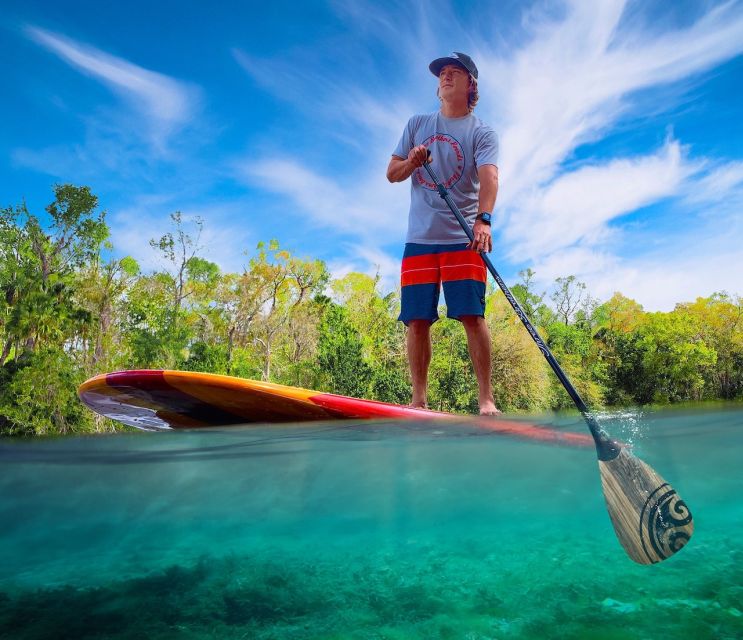 St. Augustine: Dolphin and Manatee Paddle or Kayak Tour - Paddleboard vs. kayak: which feels better for you