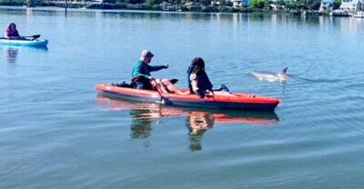 St. Augustine: Dolphin and Manatee Paddle or Kayak Tour - First on-land lesson: how you actually learn to paddle