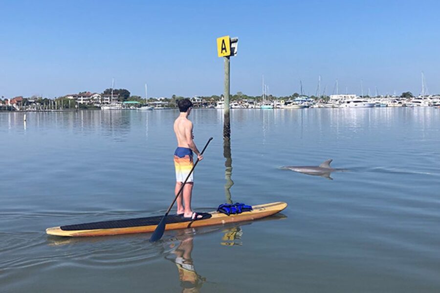 St. Augustine: Dolphin and Manatee Paddle or Kayak Tour - Price and value: $65 for gear, a guide, and real spotting chances