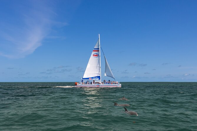 St. Augustine Dolphin Watch and Historical Harbor Tour - Why This 90-Minute Dolphin + Harbor Combo Works