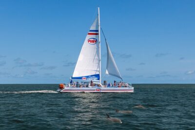 St. Augustine Dolphin Watch and Historical Harbor Tour - Vilano Beach Dolphin Watching: What You Can Actually Expect