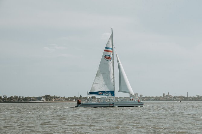 St. Augustine Dolphin Watch and Historical Harbor Tour - Boat Comfort and Small Details That Raise the Value