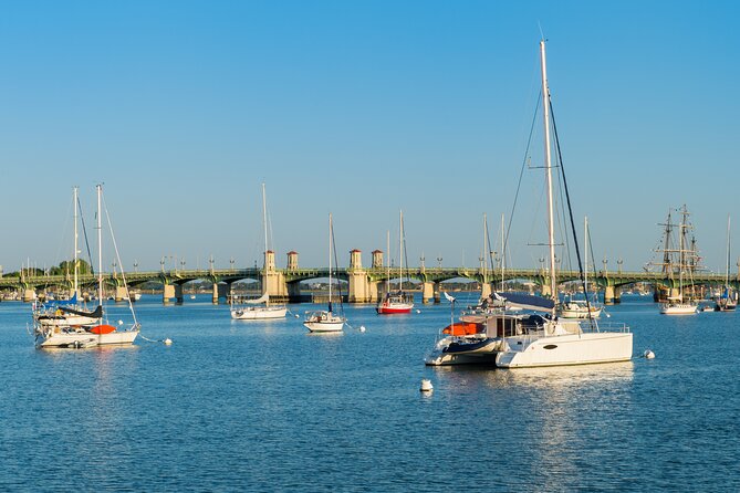 St. Augustine Dolphin Watch and Historical Harbor Tour - Snacks, Drinks, and the 21+ Alcohol Rule