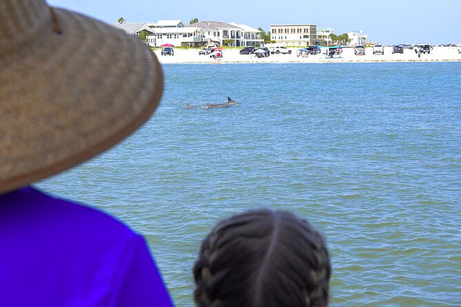 St. Augustine Dolphin Watch and Historical Harbor Tour - Who Should Book This Tour (and Who Might Want a Different One)