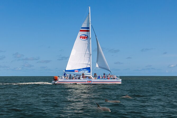 St. Augustine Dolphin Watch and Historical Harbor Tour - Vilano Beach Dolphin Watching: What You Can Actually Expect