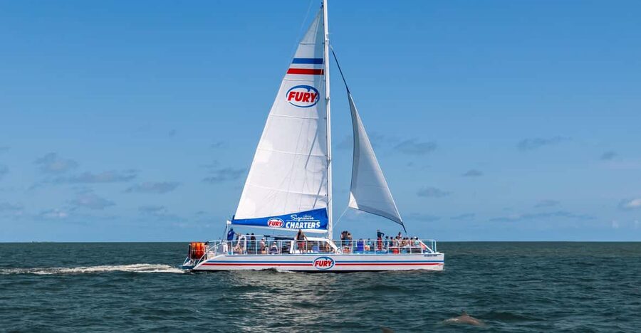 St. Augustine: Dolphin Watching Harbor Tour with Drinks - Key things that make this tour work