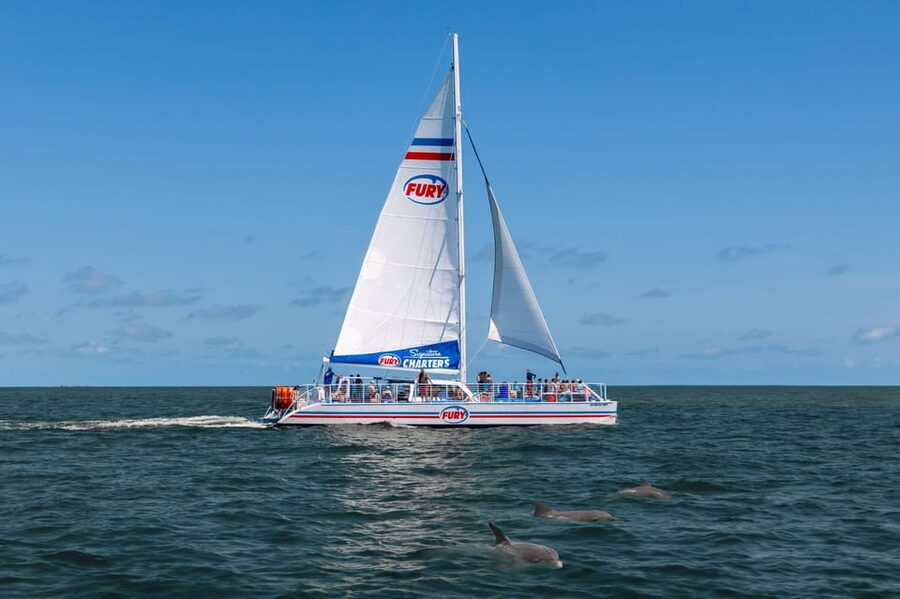 St. Augustine: Dolphin Watching Harbor Tour with Drinks - Why this 90-minute dolphin cruise is a smart St. Augustine move