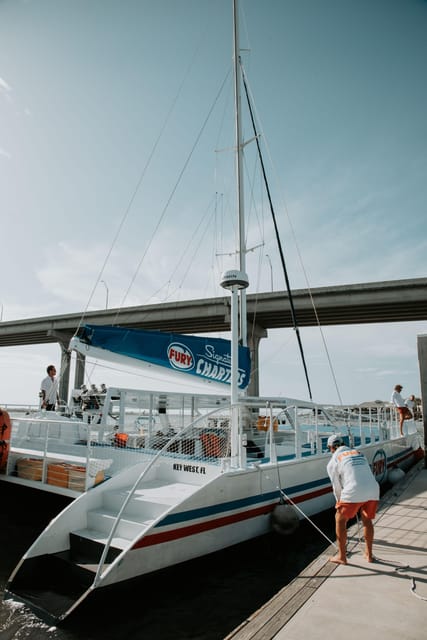 St. Augustine: Dolphin Watching Harbor Tour with Drinks - Dolphin watching the right way: respectful distance, safe rules
