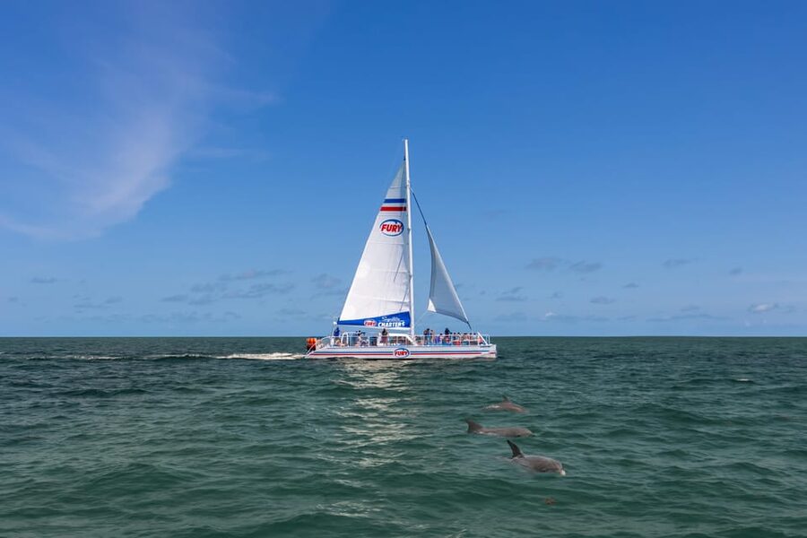 St. Augustine: Dolphin Watching Harbor Tour with Drinks - Price and value: is $42 fair for 90 minutes?
