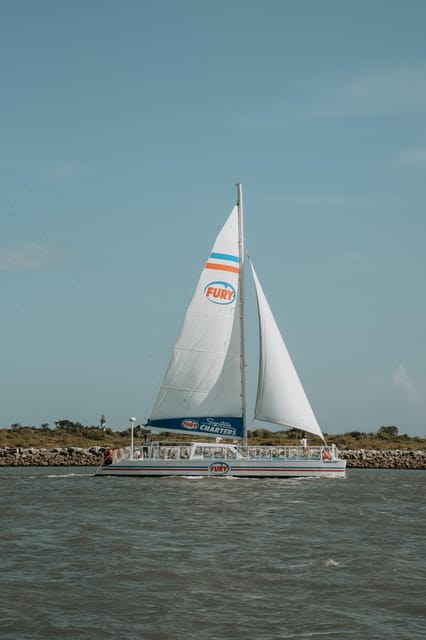 St. Augustine: Dolphin Watching Harbor Tour with Drinks - Who should book this cruise (and who might prefer something else)