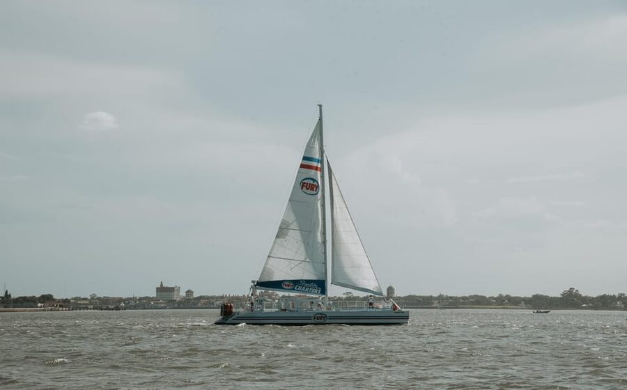 St. Augustine: Dolphin Watching Harbor Tour with Drinks - Should you book the St. Augustine Dolphin Watching Harbor Tour?