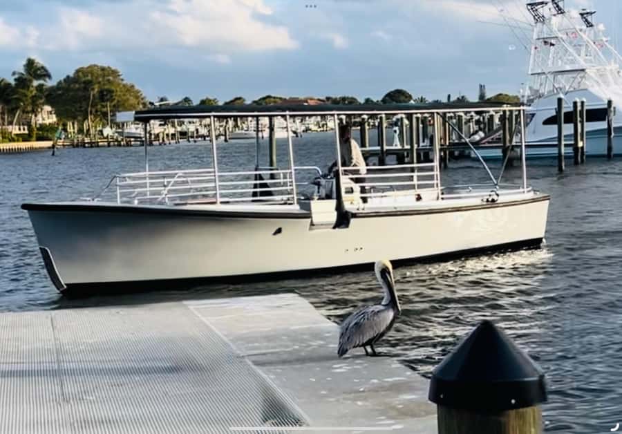 St. Augustine: Sunset Boat Tour with Dolphin Spotting - Nights of Lights: A Different Kind of Sunset Cruise