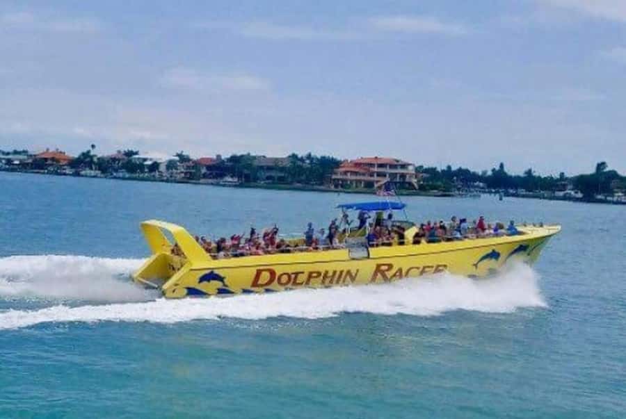 St. Pete Beach: Dolphin Racer Cruise by Speedboat - Key things to notice before you go
