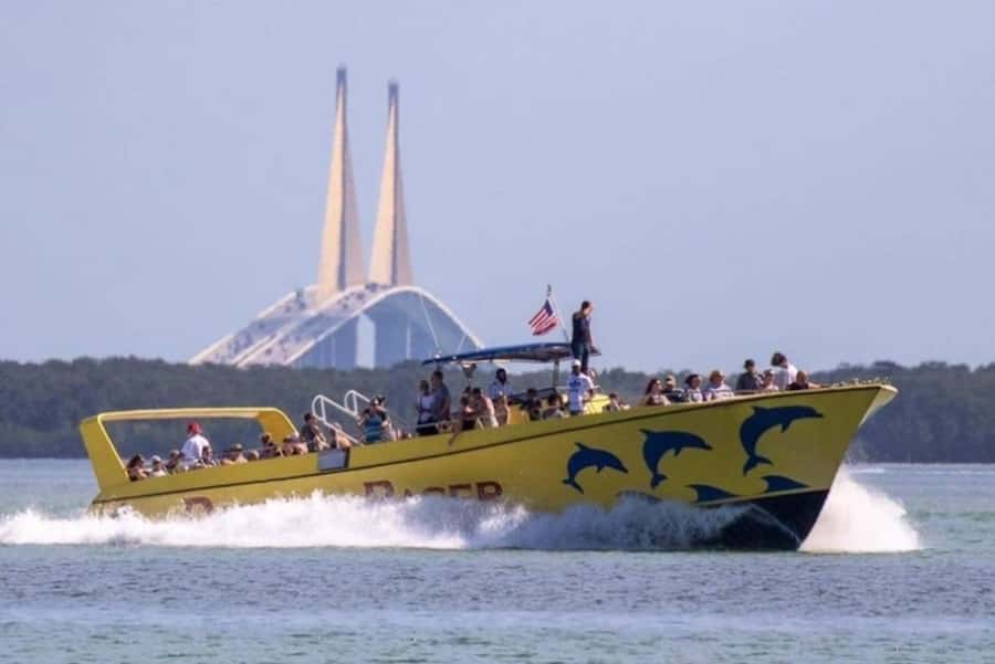St. Pete Beach: Dolphin Racer Cruise by Speedboat - Speedboat Dolphins: What This 2-Hour Cruise Is Really Like