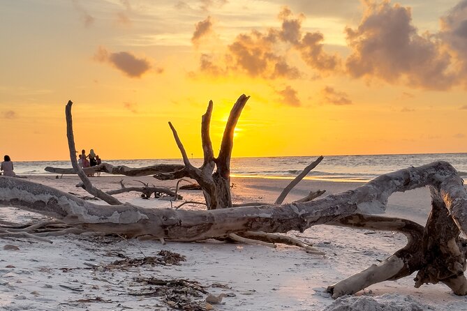 St. Pete Dolphin Watching and Island Sunset Cruise - Key Points at a Glance