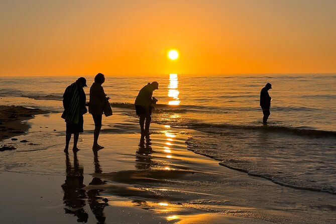 St. Pete Dolphin Watching and Island Sunset Cruise - Price and What Feels Like Real Value at $56.50