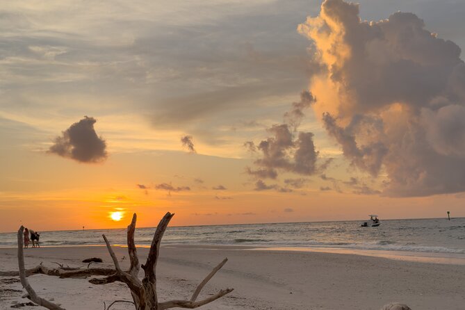 St. Pete Dolphin Watching and Island Sunset Cruise - On-Board Bar and Restroom: Small Comforts That Matter at Sunset