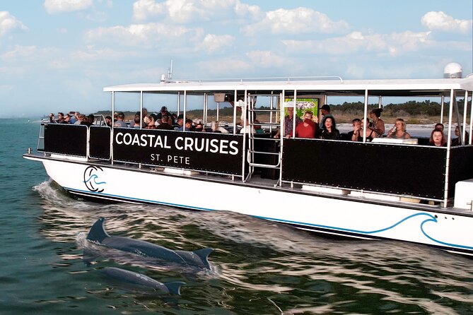 St. Pete Dolphin Watching and Shelling Adventure - Key things to know before you go