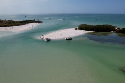St. Pete Dolphin Watching and Shelling Adventure - The scenery cruise: waterfront mansions, Gulfport boats, and big bridge views