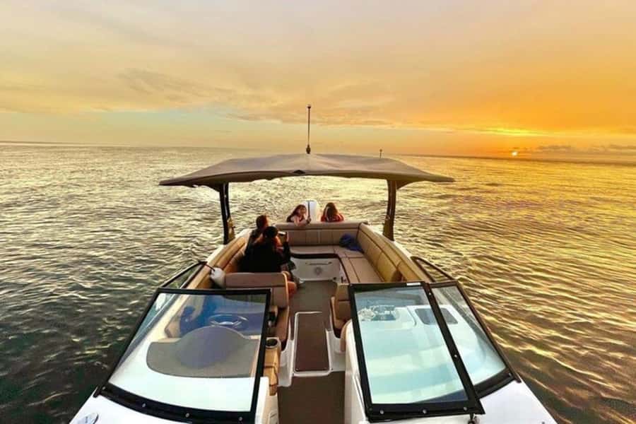 St. Petersburg: Private Barrier Island and Dolphin Boat Tour - Key things I’d book this for
