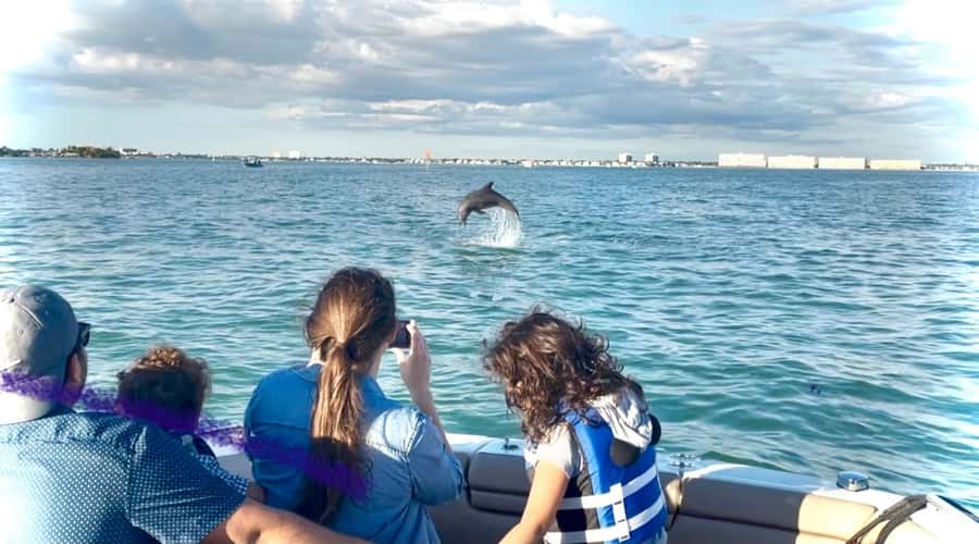 St. Petersburg: Private Barrier Island and Dolphin Boat Tour - Who this tour fits best, and who should skip it
