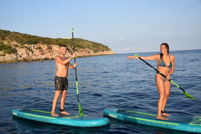 Stand Up Paddle With Dolphins, aperitif and pictures - Why dolphins feel different from a SUP