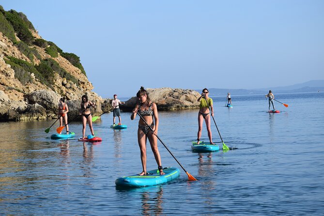 Stand Up Paddle With Dolphins, aperitif and pictures - The free photo and video package matters more than you think