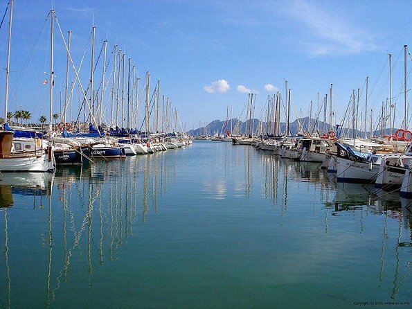 Sunrise Boat Trip in Mallorca with Dolphin-Watching - Key things to know before you sail