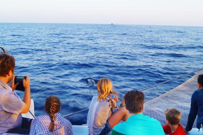 Sunrise Boat Trip in Mallorca with Dolphin-Watching - The breakfast situation: what’s included and how filling it really is
