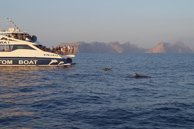 Sunrise Boat Trip in Mallorca with Dolphin-Watching - Dolphin-watching reality check: you might get a lot of time, or you might not