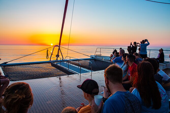 Sunrise Boat Trip in Mallorca with Dolphin-Watching - Photos and etiquette: how to get the shot without stressing wildlife