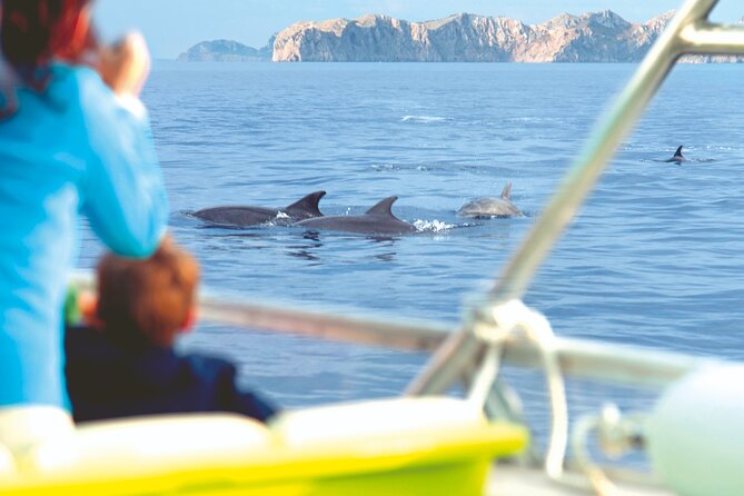 Sunrise Boat Trip in Mallorca with Dolphin-Watching - Language and vibe on board: English-focused with occasional mix