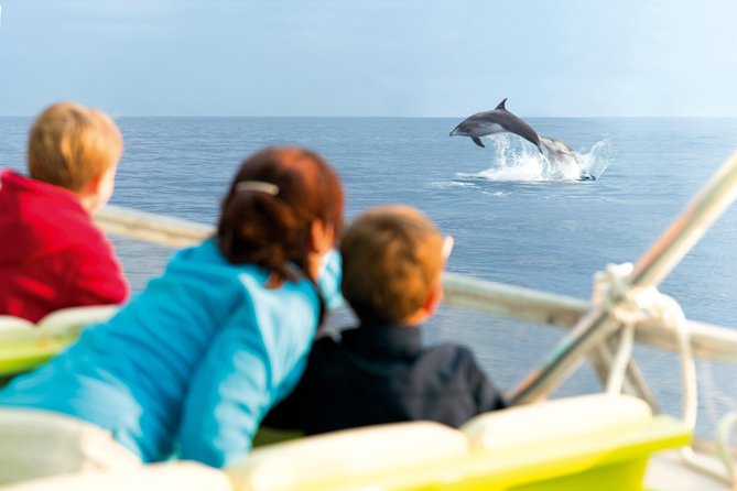 Sunrise Boat Trip in Mallorca with Dolphin-Watching - The route logic: from Alcúdia Bay toward Cap de Formentor