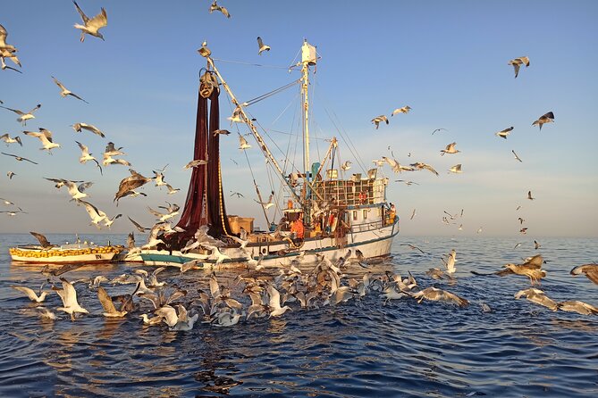 Sunrise Dolphins & Fishermen at Work speedboat tour in Rovinj - Watching fishing nets being pulled: the moment the whole trip clicks