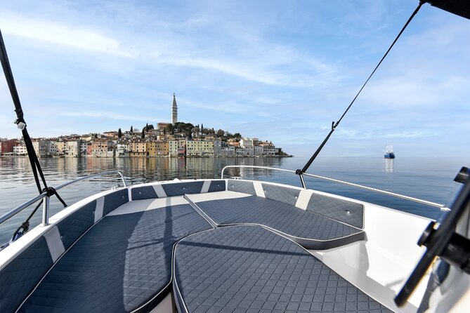 Sunrise Dolphins & Fishermen at Work speedboat tour in Rovinj - Dolphins jumping in sunrise light: calm, not chaotic