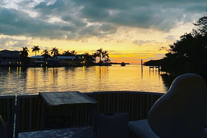 Sunset and Dolphin Cruise around Fort Myers Beach - Big Carlos Pass dolphins: how to think about sightings