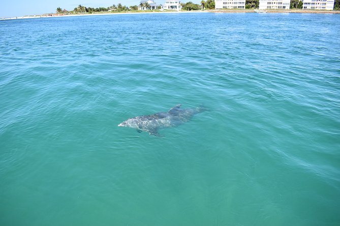 Sunset and Dolphin Cruise around Fort Myers Beach - Value math for $375 per group (up to 6)