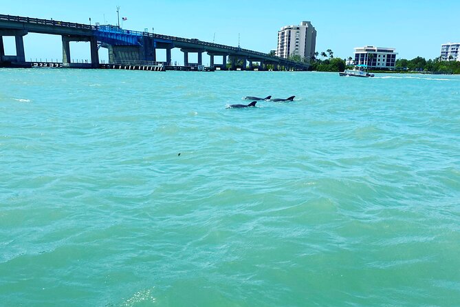 Sunset and Dolphin Cruise around Fort Myers Beach - Who this cruise fits best in your travel style