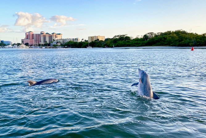 Sunset and Dolphin Cruise around Fort Myers Beach - From the intracoastal to mangroves: what you’ll see on the run south