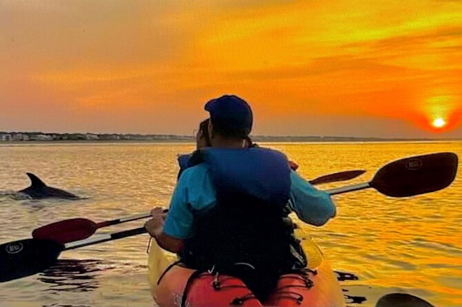 Sunset Bioluminescent Comb Jelly & Dolphin Tour - Key Things You’ll Notice On This Tour