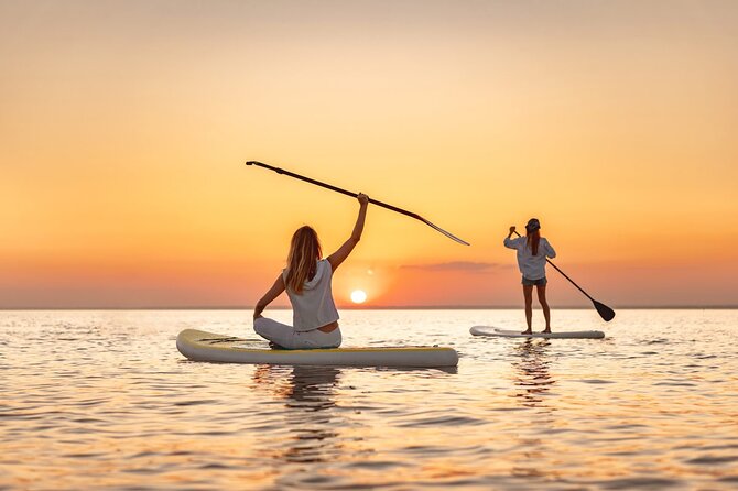 Sunset Bioluminescent Comb Jelly & Dolphin Tour - Sunset Paddling From Indian Harbour Beach: Where the Night Begins