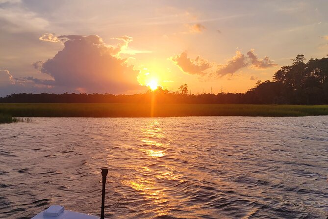 Sunset, Dolphin/Birding On A Private Guided Savannah Cruise - Waterfront Estates and the Marsh-Grass Finish on Bluff Drive