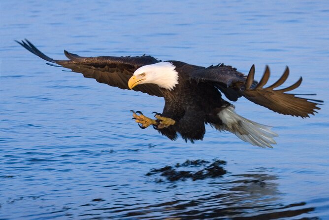 Sunset, Dolphin/Birding On A Private Guided Savannah Cruise - Price and Value for a Private Group of Up to Four