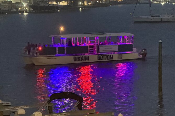 Sunset Dolphin Cruise - The Dolphin Hunt: How You Get Closer Than Usual