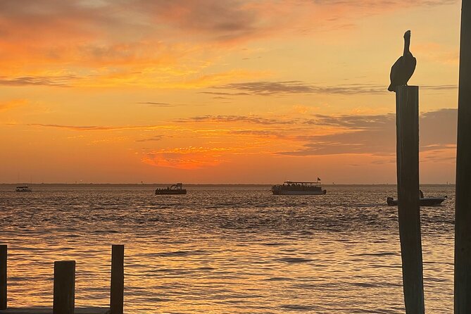 Sunset Dolphin Cruise - What You Can Spot Besides Dolphins (And What Might Change)