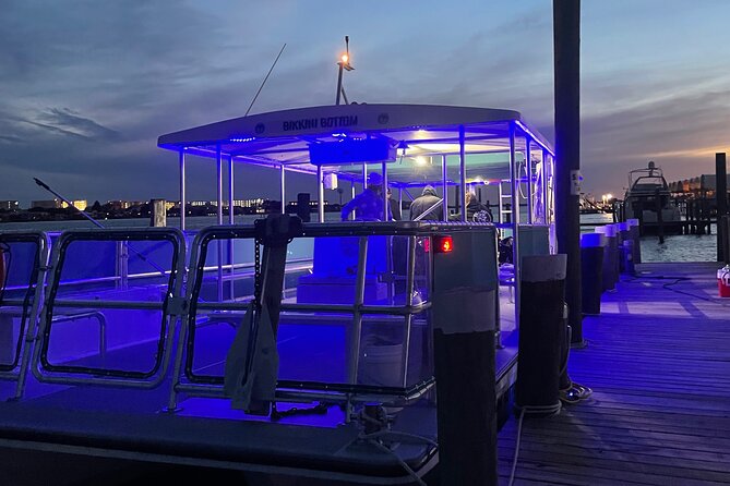 Sunset Dolphin Cruise - Sunset on the Water: Why the Timing Feels Special
