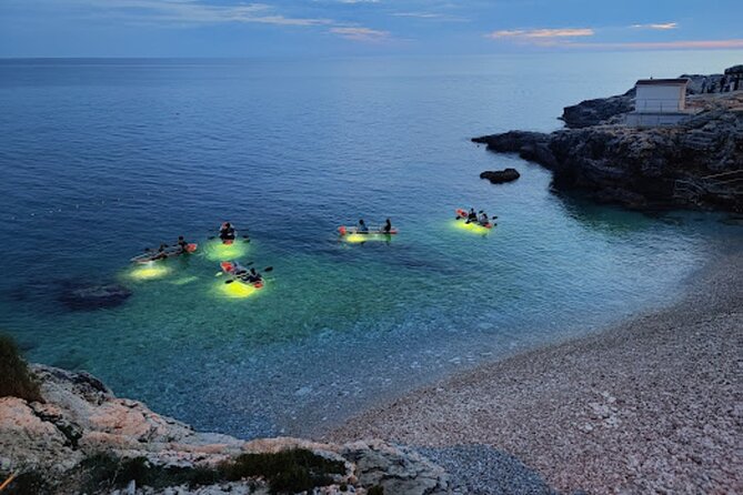 Sunset Dolphin Cruise in Brijuni National Park from Pula - Should You Book This Sunset Dolphin Cruise?