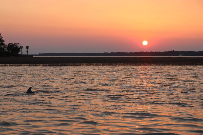 Sunset Dolphin Cruise in Hilton Head - Entering Hilton Head’s waterways: what this cruise feels like