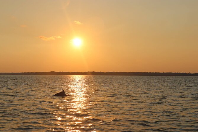 Sunset Dolphin Cruise in Hilton Head - Broad Creek start: calm water, salt marsh views, and dolphin scanning