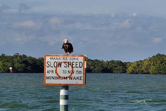 Sunset Dolphin Cruise with Sanibel Lighthouse Views - How the 1.5-hour cruise feels from the dock to sunset